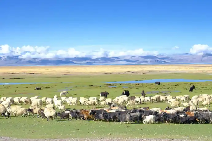 高原上行走的人民币