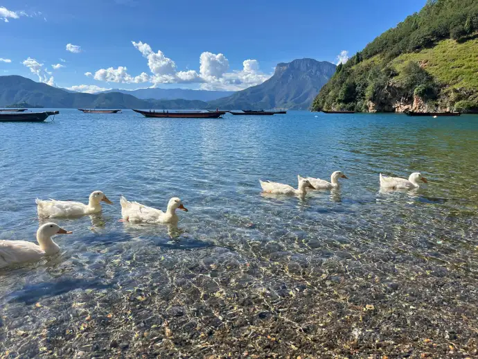 泸沽湖