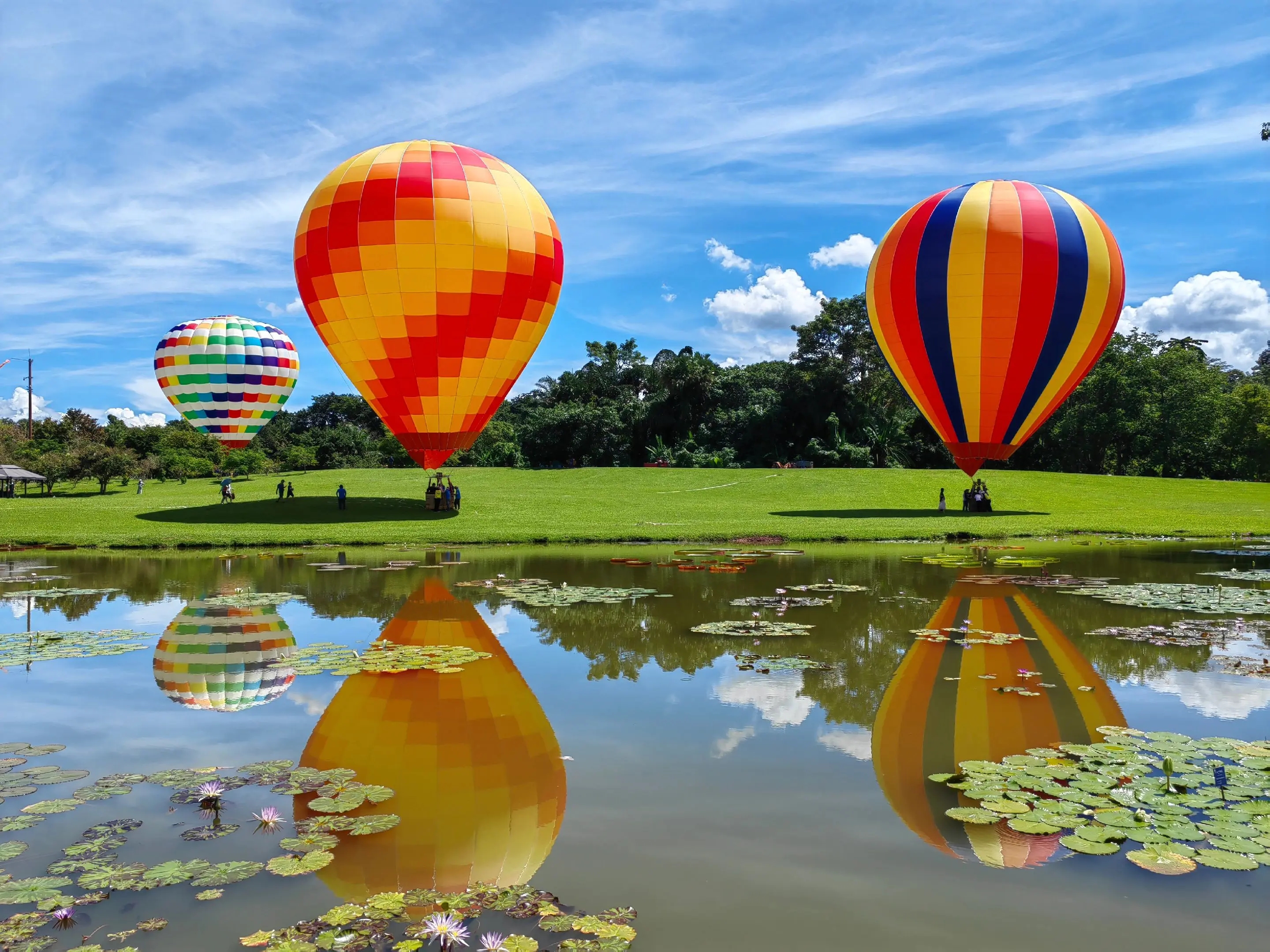 热带植物园游览攻略2026：全天路线、半天精华与各区域时间分配指南