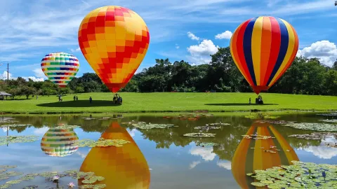 热带植物园游览攻略2026：全天路线、半天精华与各区域时间分配指南 (84)
