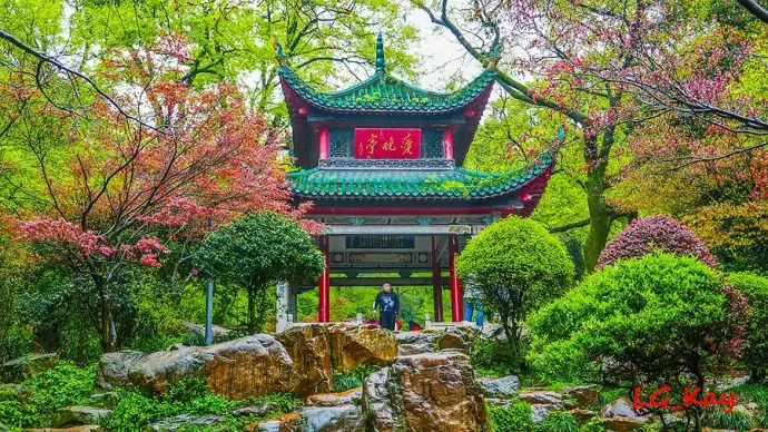 岳麓