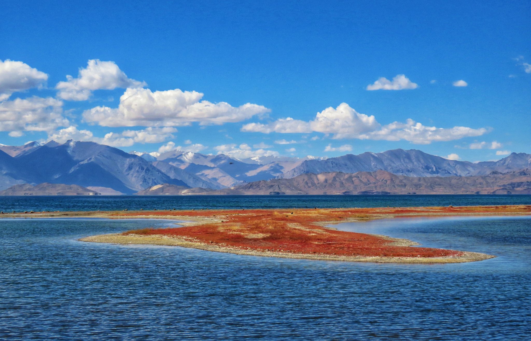 西藏班公湖湖水颜色之谜：近岸蓝绿远岸深蓝，揭秘班公湖渐变色彩的科学成因与观赏指南