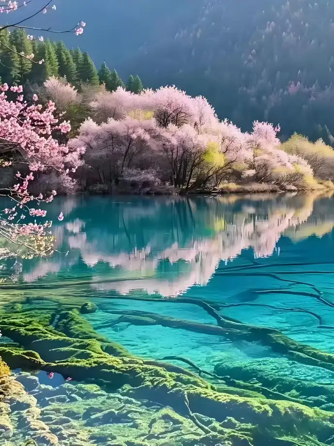 九寨沟旅游