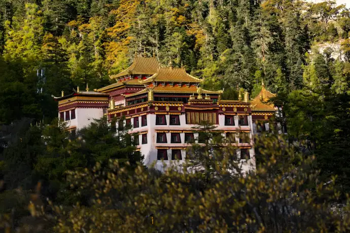 冲古寺
