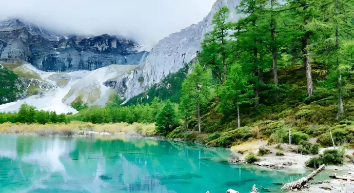珍珠海
