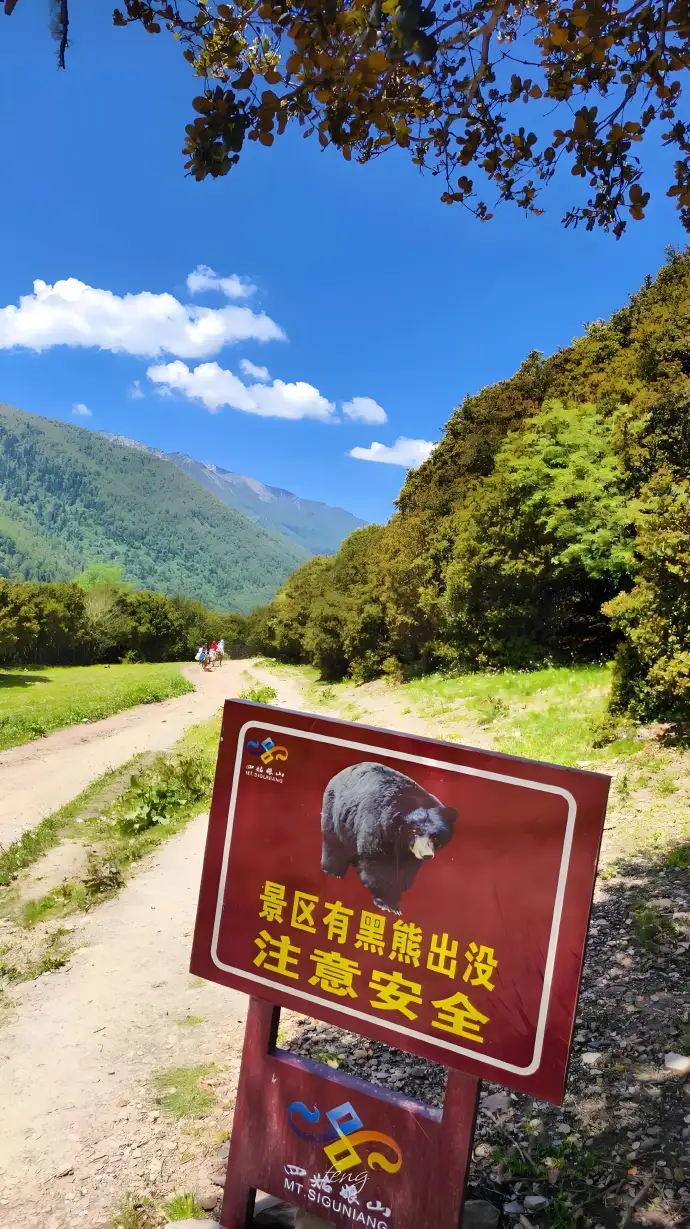 四姑娘山旅游
