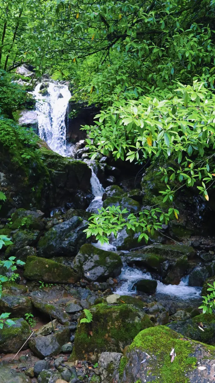 蜂巢岩