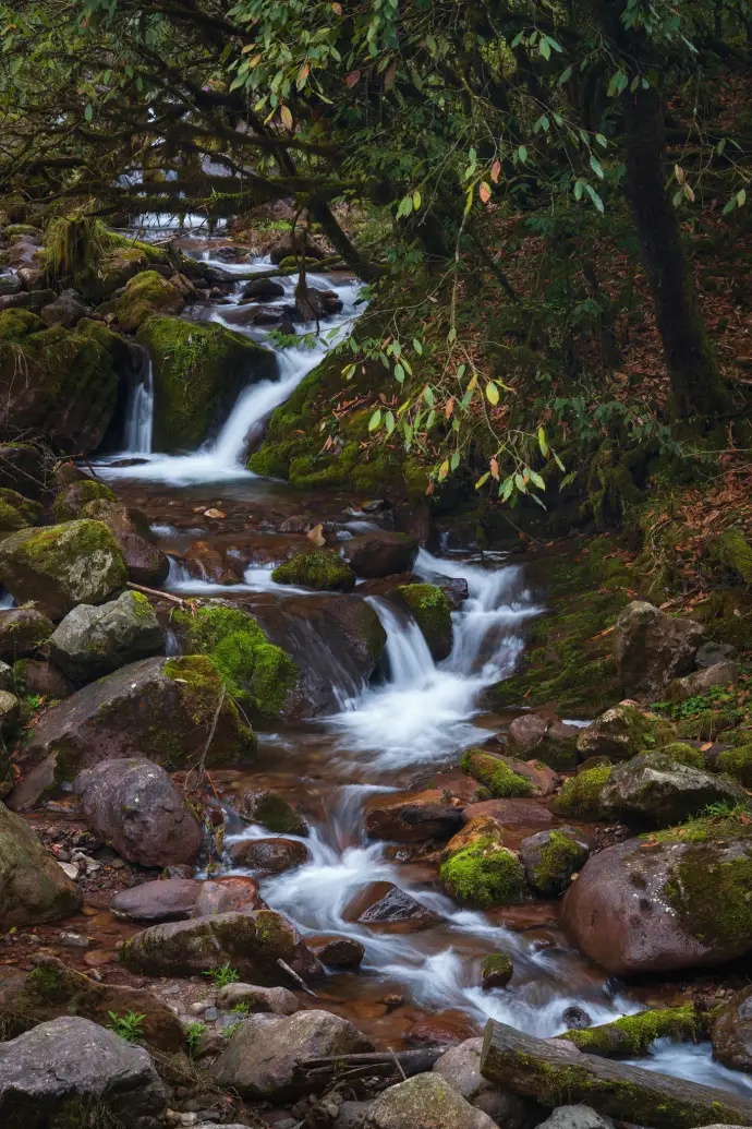 蜂巢岩