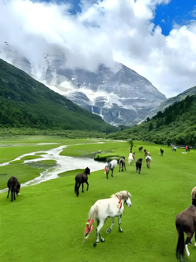 川西旅游