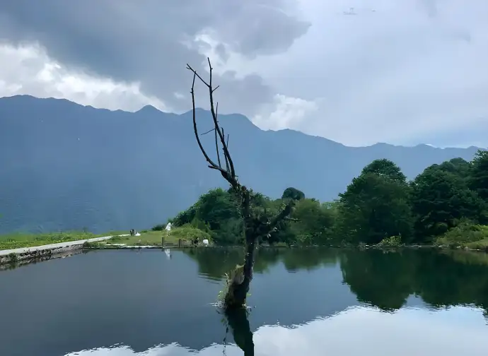 马里冷旧