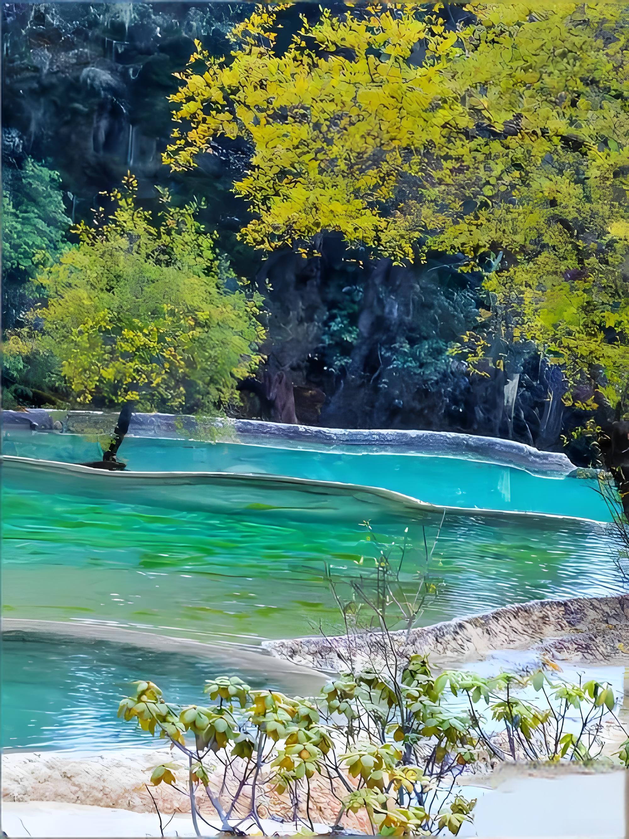 黄龙旅游四季攻略2026：丰水期、枯水期与最佳游览时间，季节票价对比