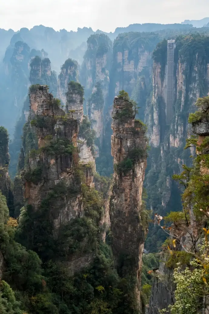 百龙天梯