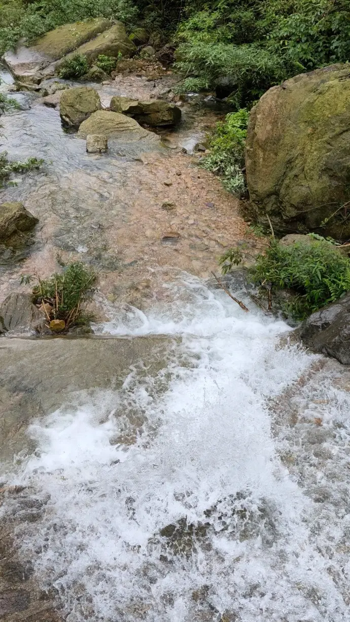 金鞭溪