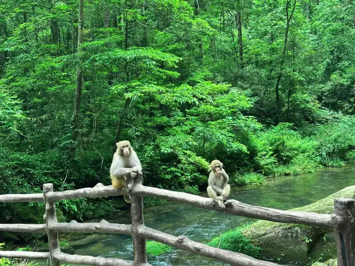 金鞭溪
