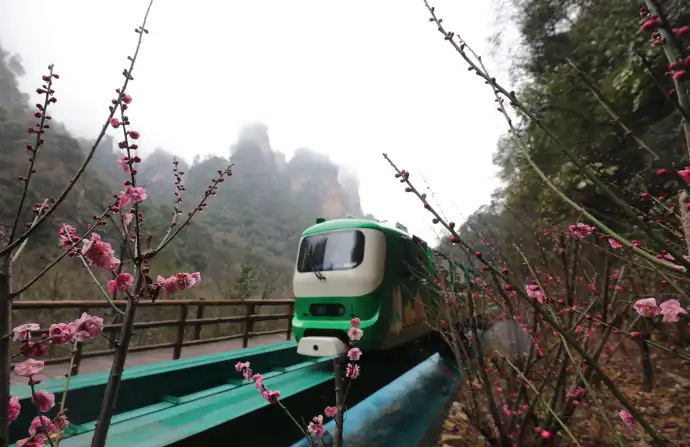 金鞭溪小火车