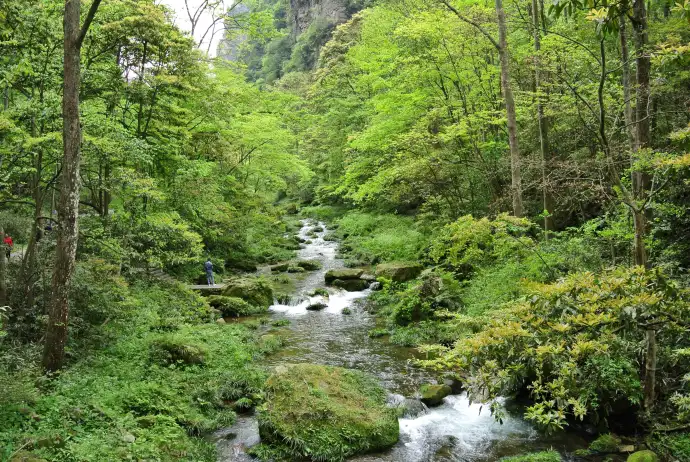 张家界大峡谷