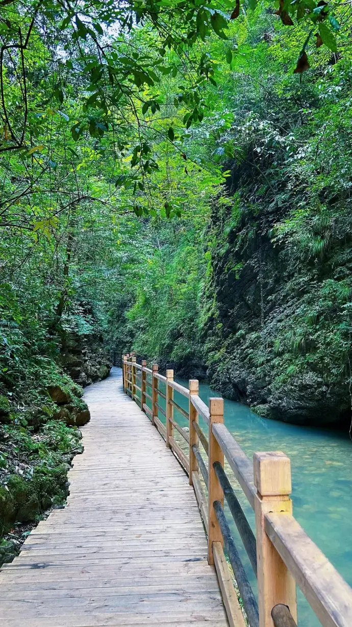 张家界大峡谷