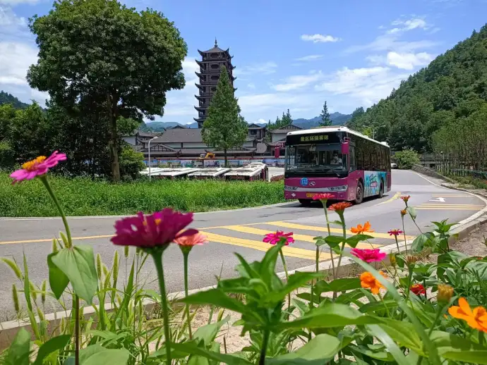 环保观光车