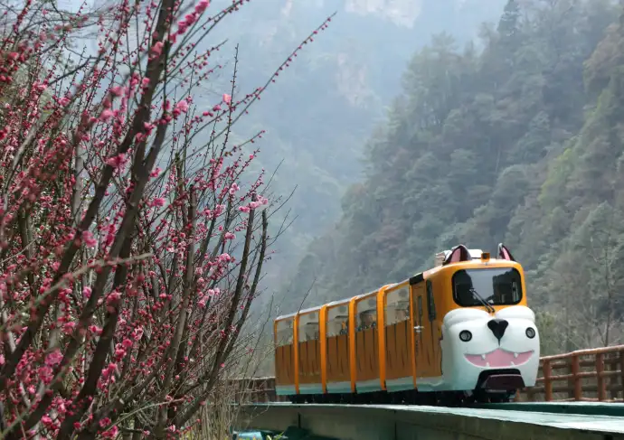 金鞭溪小火车