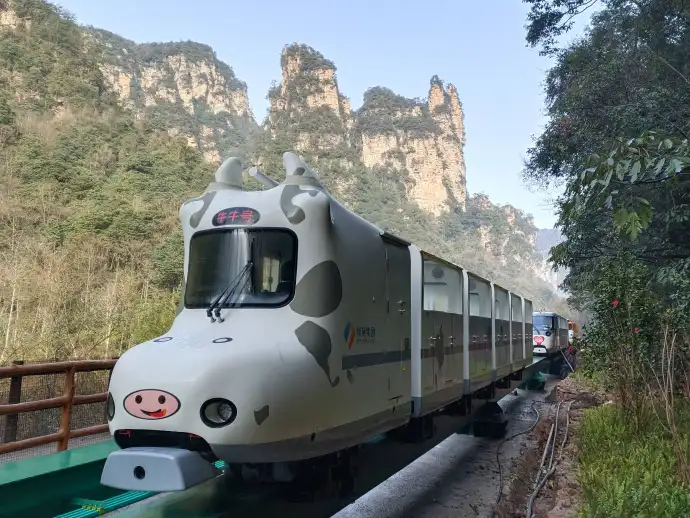 金鞭溪小火车
