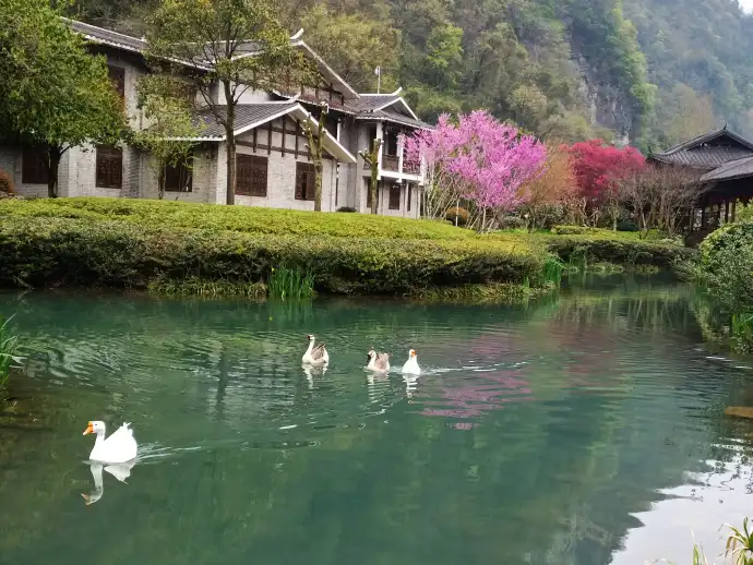 黄龙洞