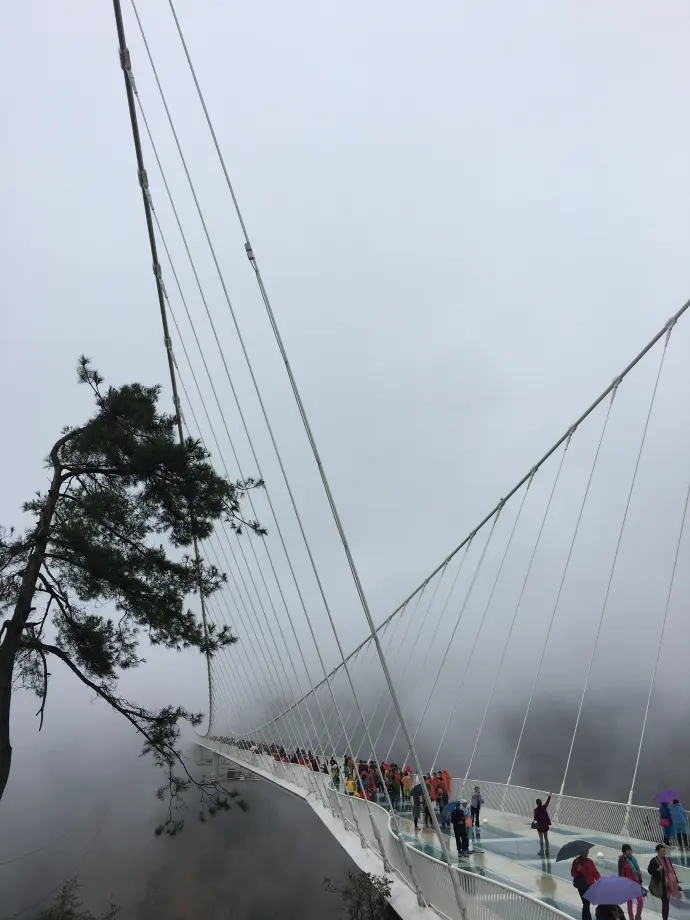 大峡谷玻璃桥