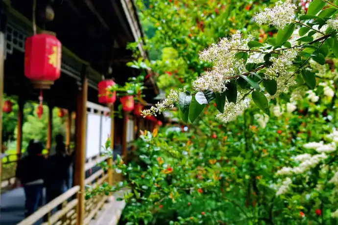 黄龙洞