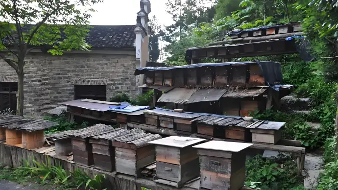 土家风情园