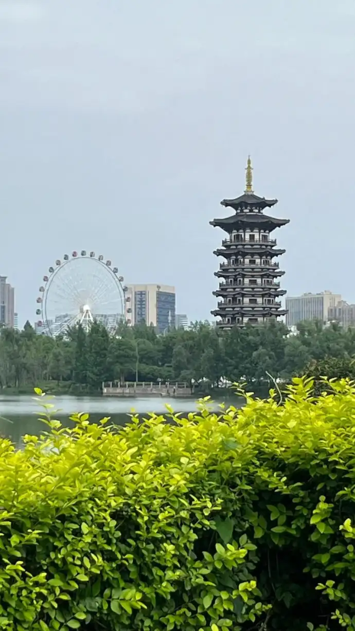 洋湖湿地公园