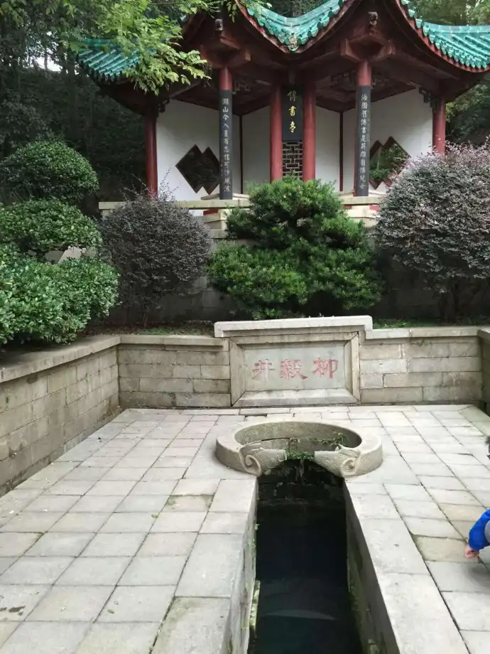 柳毅井