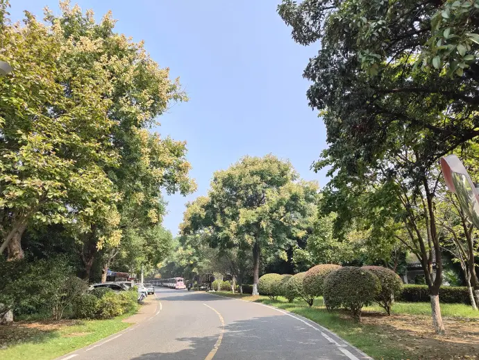 橘子洲