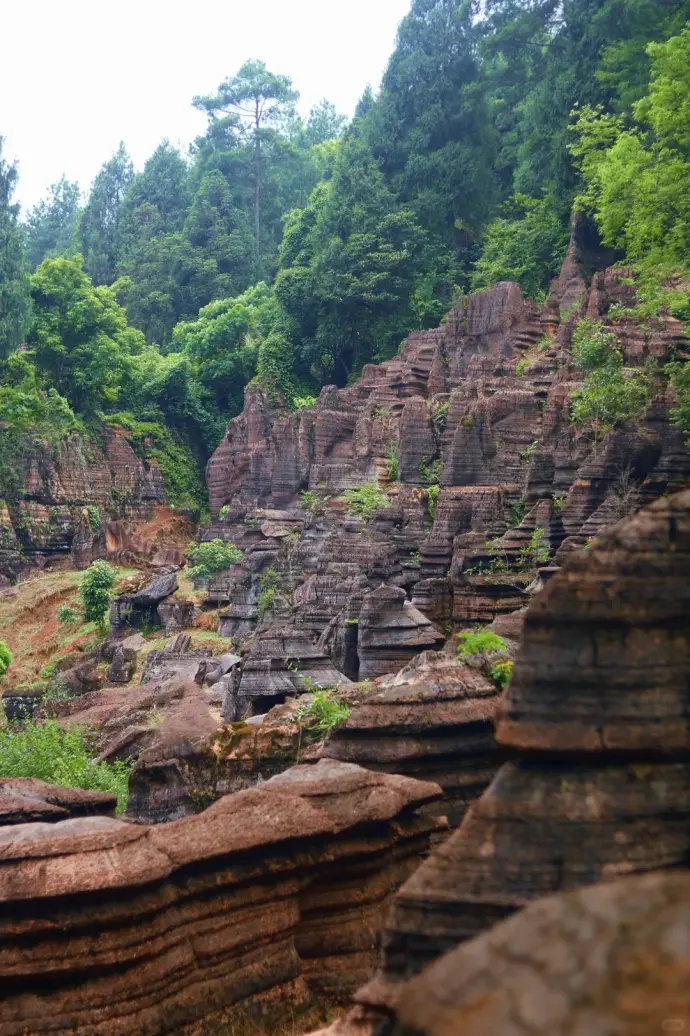 红石林岩柱