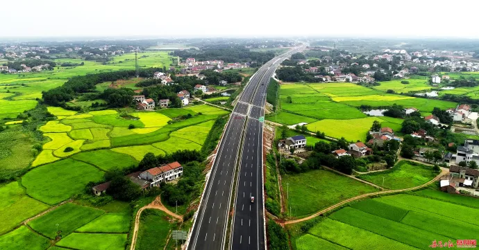 岳阳道路