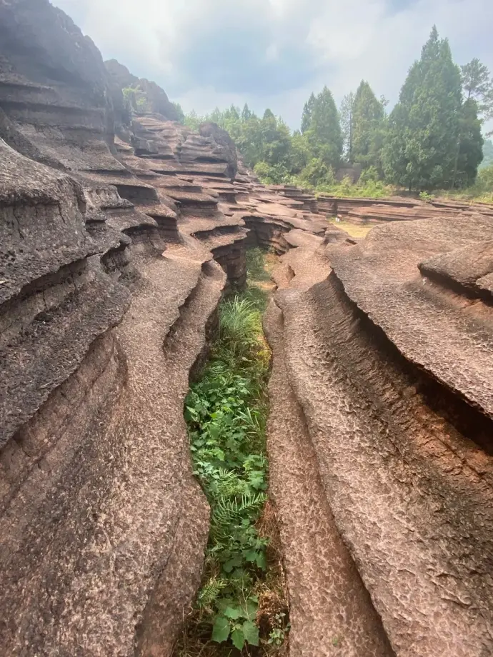 红石林