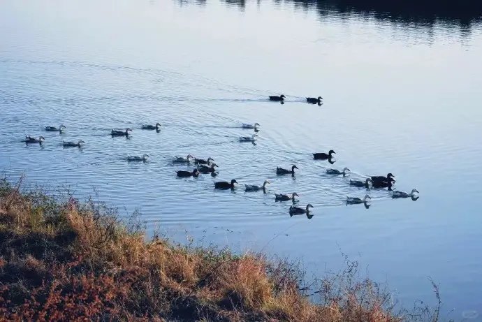 采桑湖