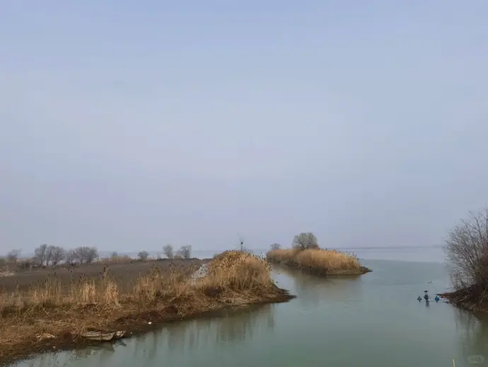 采桑湖冬季