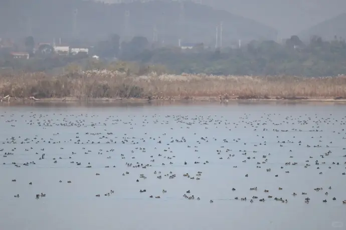 采桑湖
