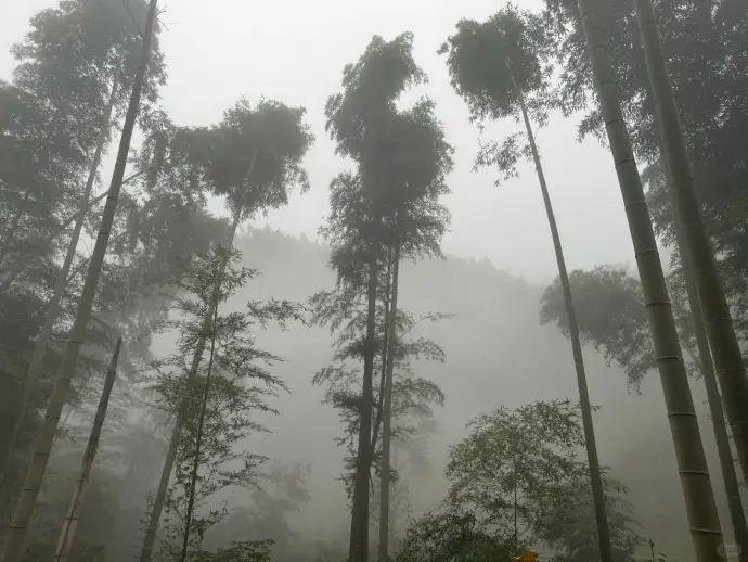 幕阜山雾天