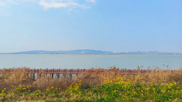 东洞庭湖