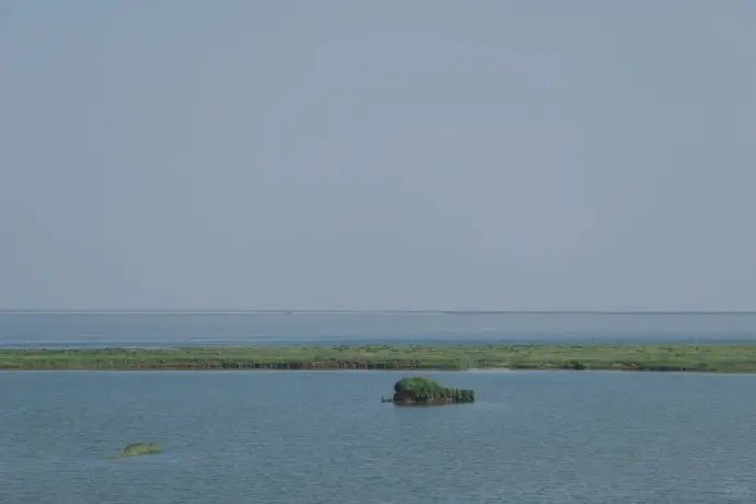 东洞庭湖