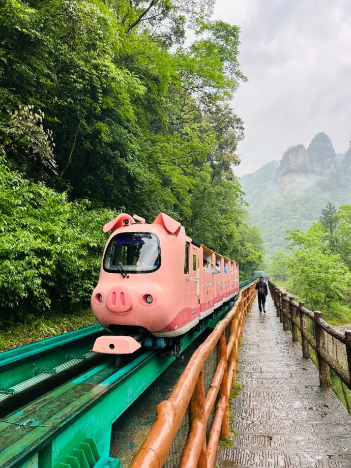 十里画廊小火车