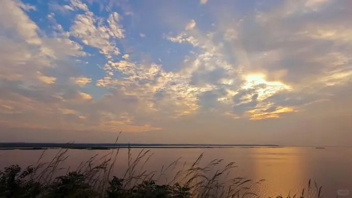 东洞庭湖芦苇
