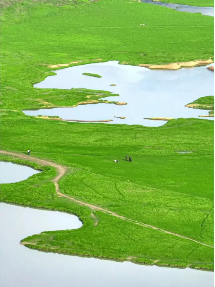 东洞庭湖湿地