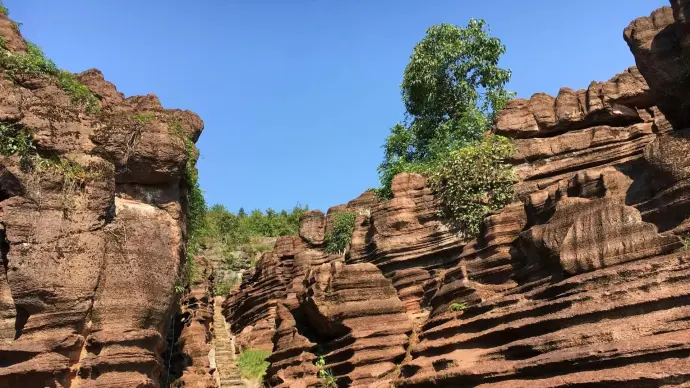 红石林