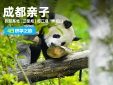 成都亲子4日游：熊猫基地、三星堆、都江堰、青城山轻松研学之旅