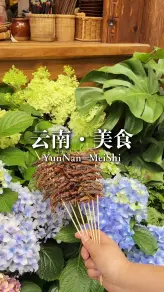 2026云南美食旅游指南：各市州必吃清单、野生菌避坑与地道餐厅推荐