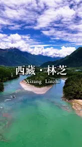 在林芝的森林里，找回呼吸的节奏