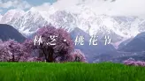 林芝桃花节：万亩桃花海，美到让人心动