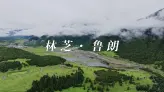 鲁朗绿意与光影交织的高原小镇，如诗如画