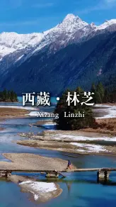 为什么林芝被称为